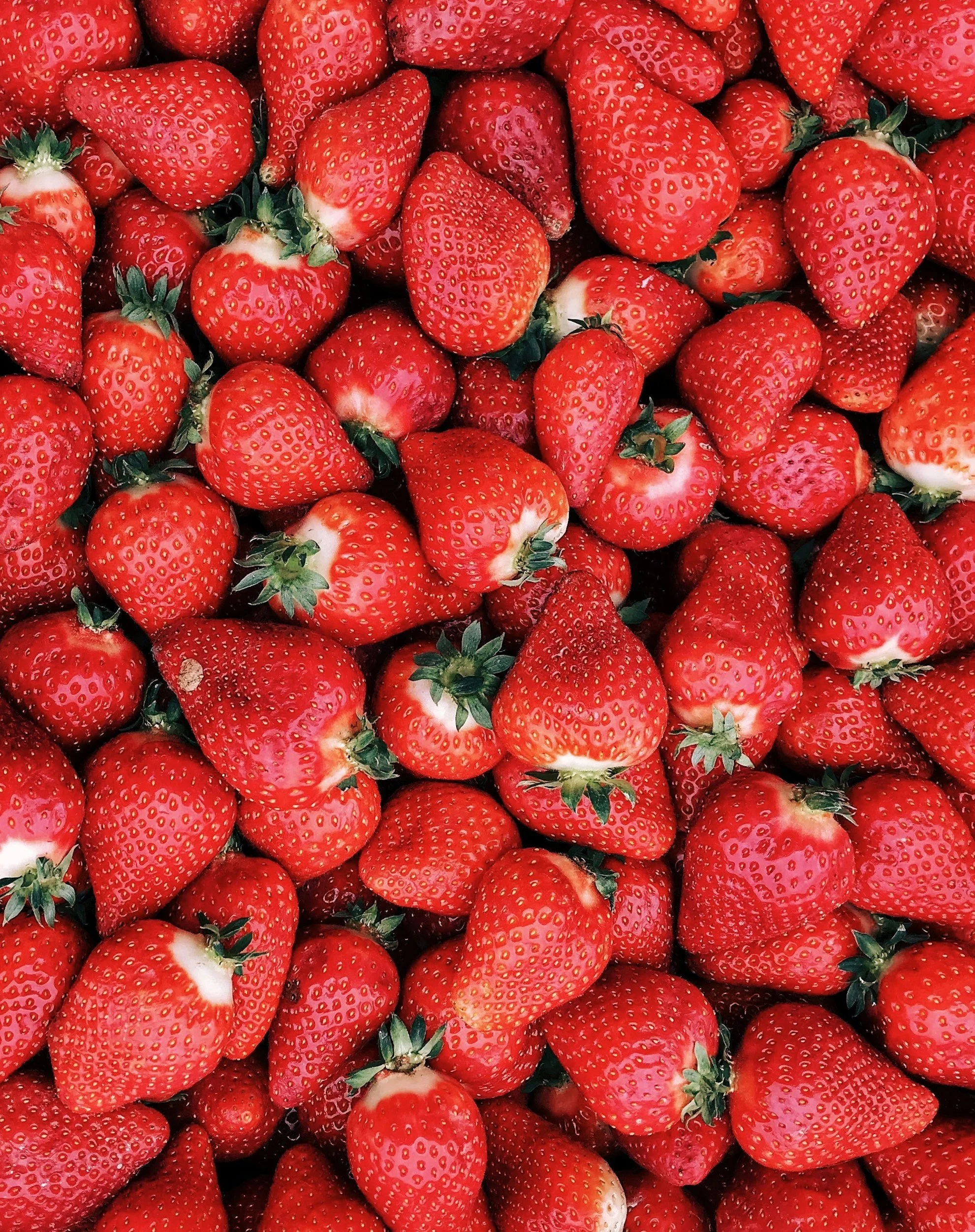 Strawberry Festival
