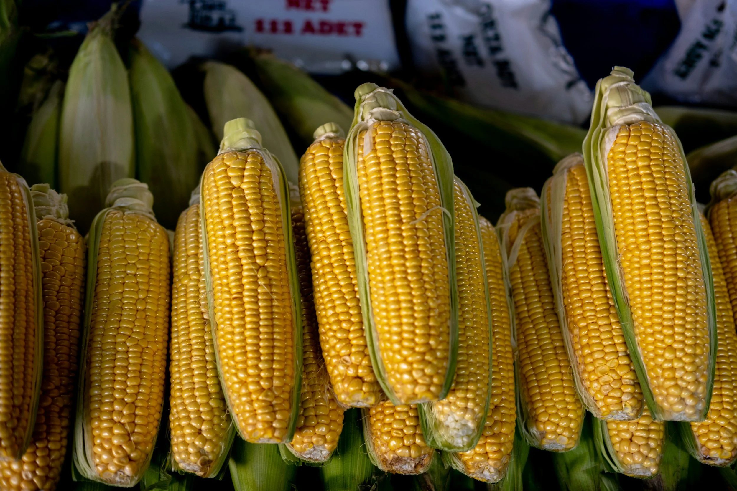 Community Corn Roast