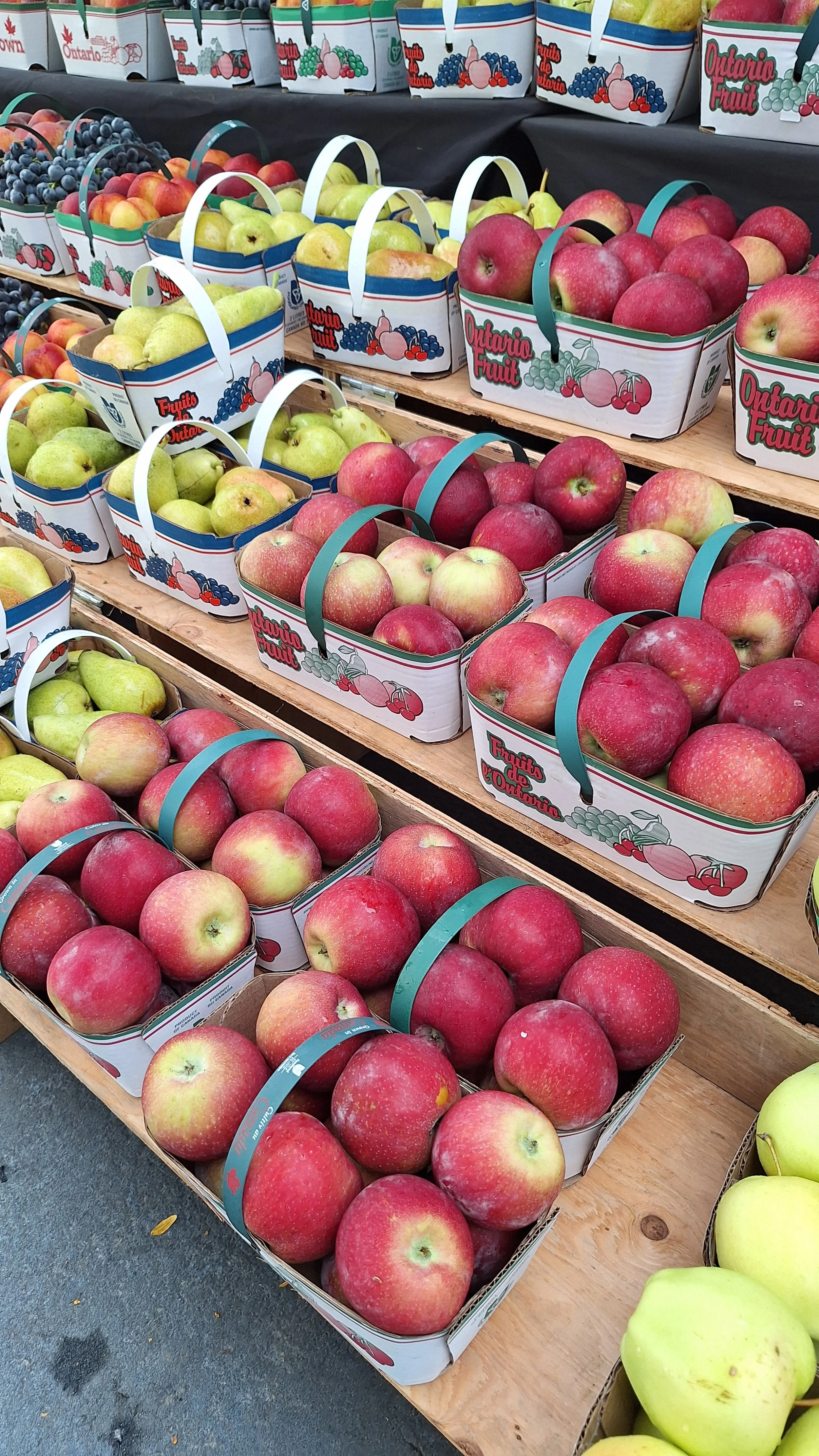 Apple Festival