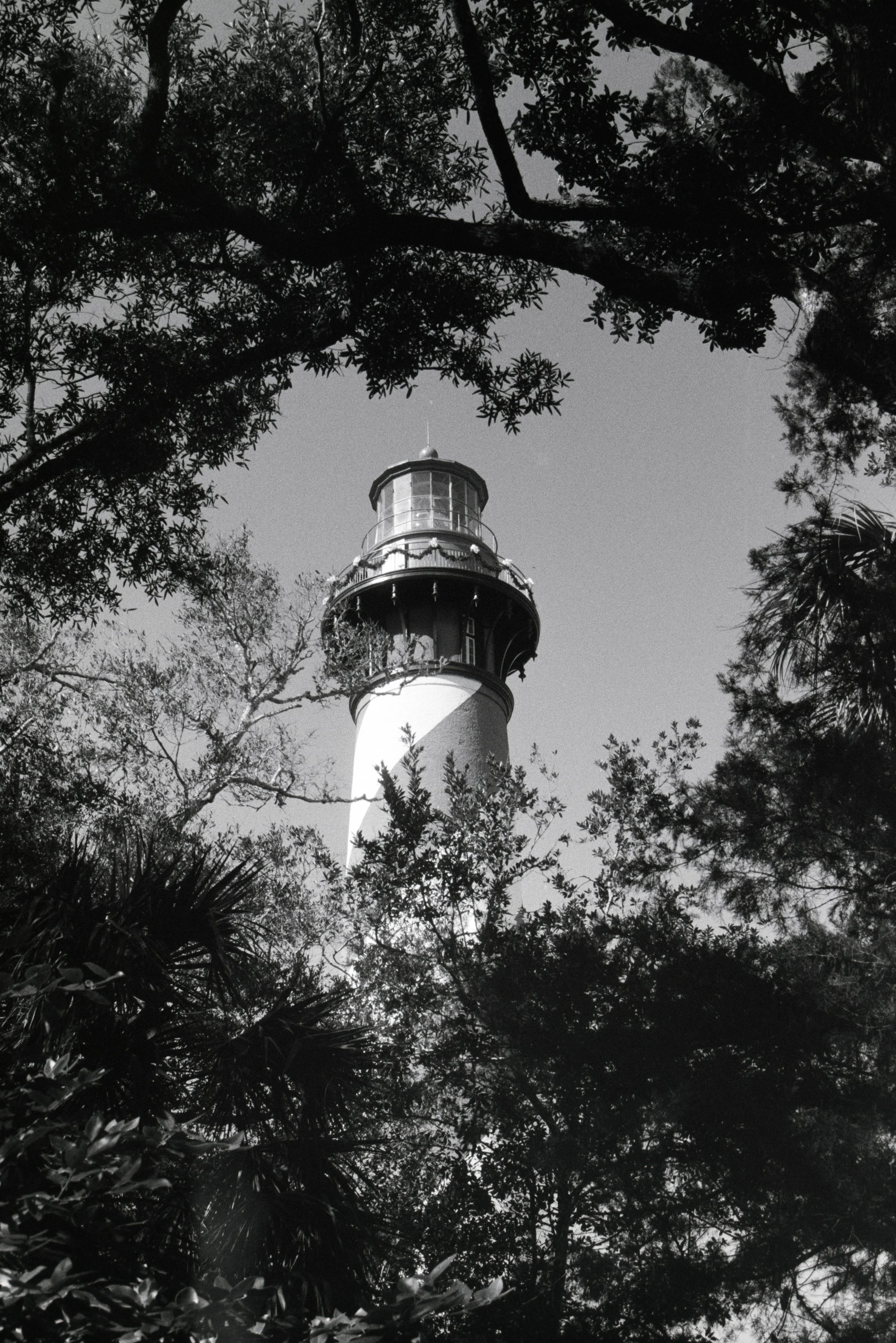 Black and white photo of a lighthouse seen through trees with dense foliage.