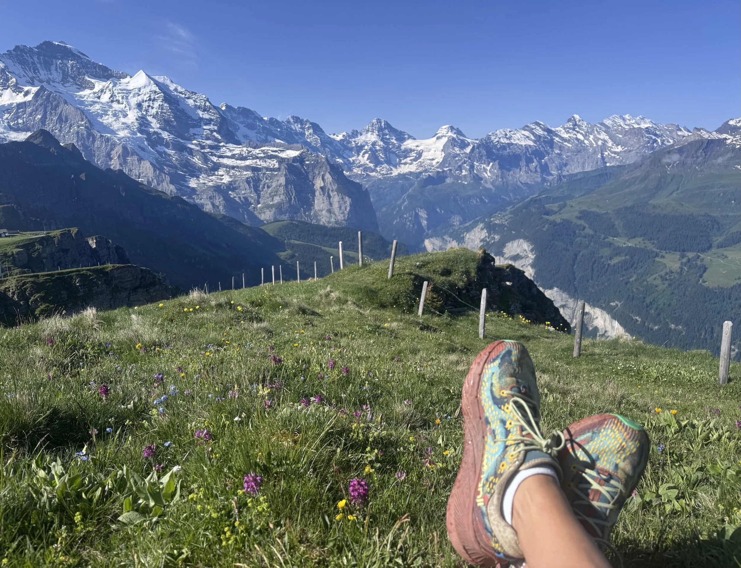 Nature Heals: Ancient Wisdom for a Modern Seeker
