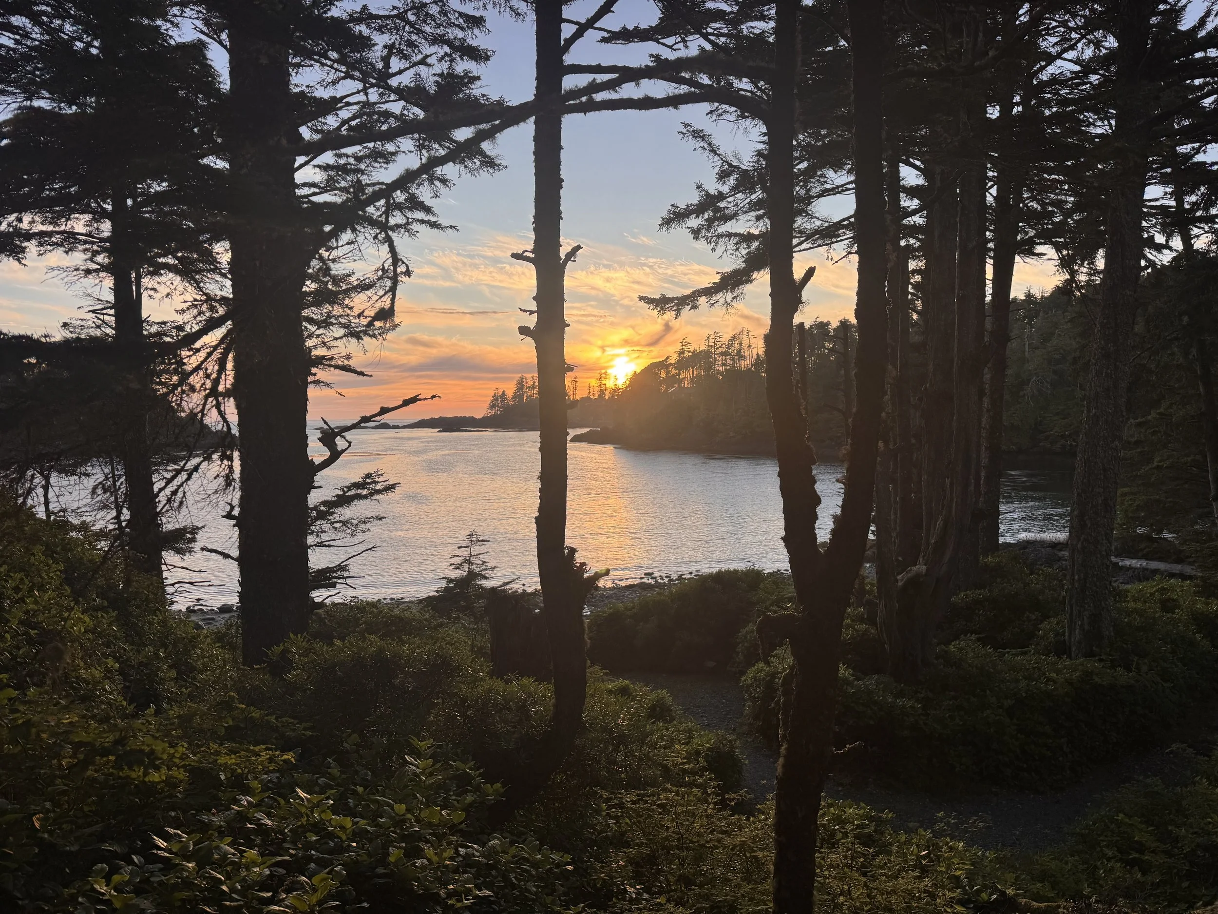 Tofino and Ucluelet:   Where the Wild Pacific Meets the Rainforest