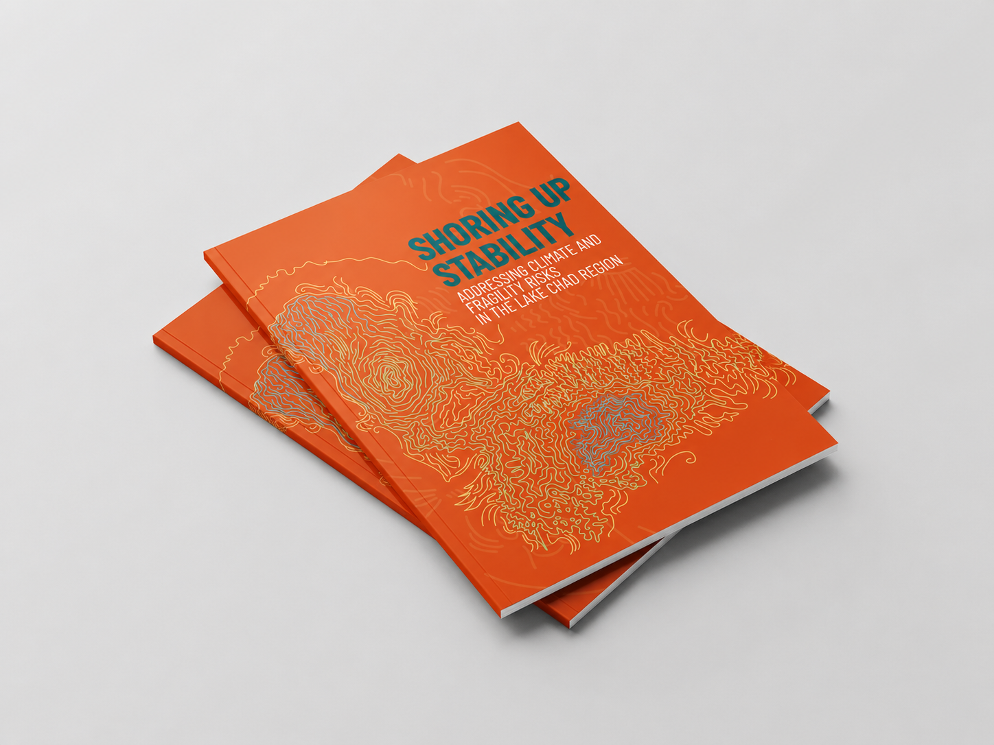 Lake Chad report.png