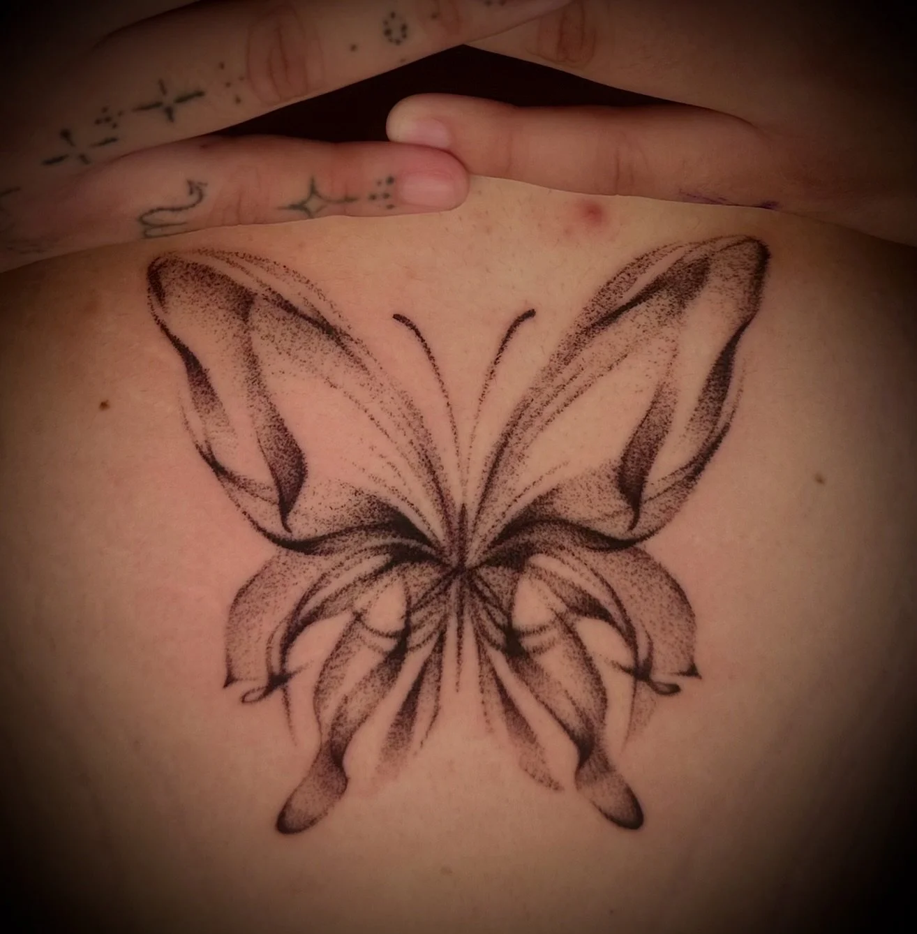 Something cutie pie for today 💞thank you @nugsandroses for bringing in this design for me to try 🫶✨
.

.

.

.

.

.

#tattoo #fresnotattoos #butterfly #soft #butterflytattoo