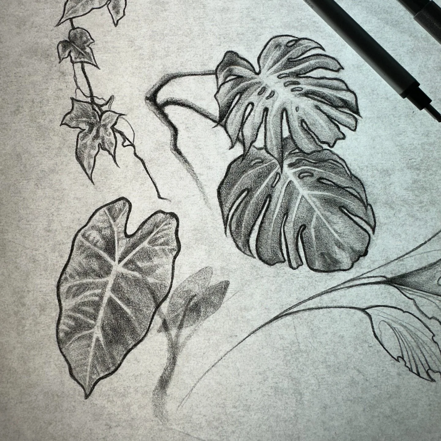 Swipe to the end to see the inspo
So happy to be at a shop with so many items that spark a lil inspiration ✍🏼🪄🍃🤏😋
.
.
.
.
.
.
.
#botanical #designs #blood #beauty