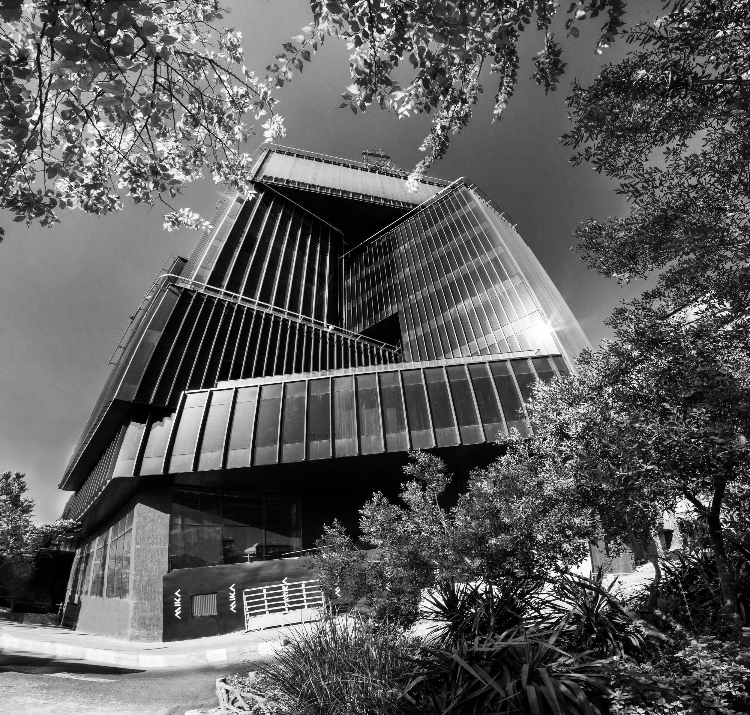 _MG_9920-Pano-1B-W.jpg