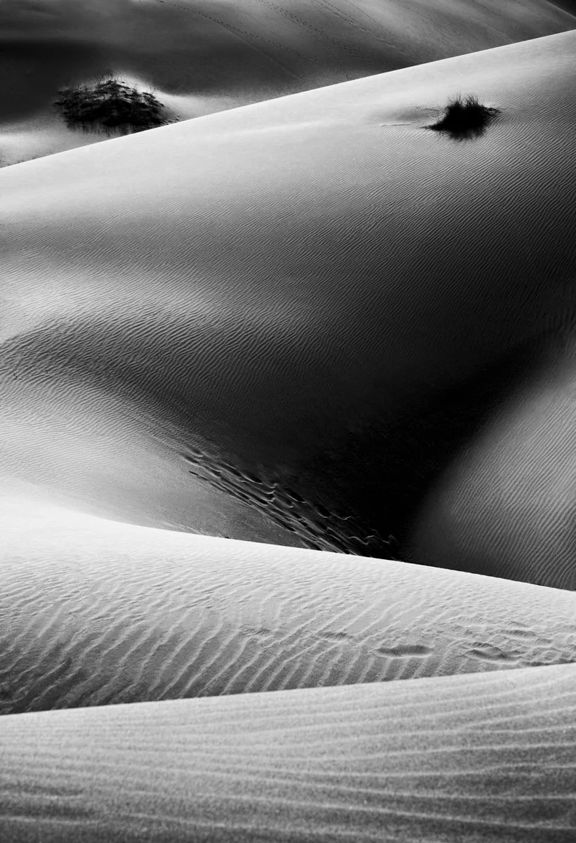 DesertBody.jpg