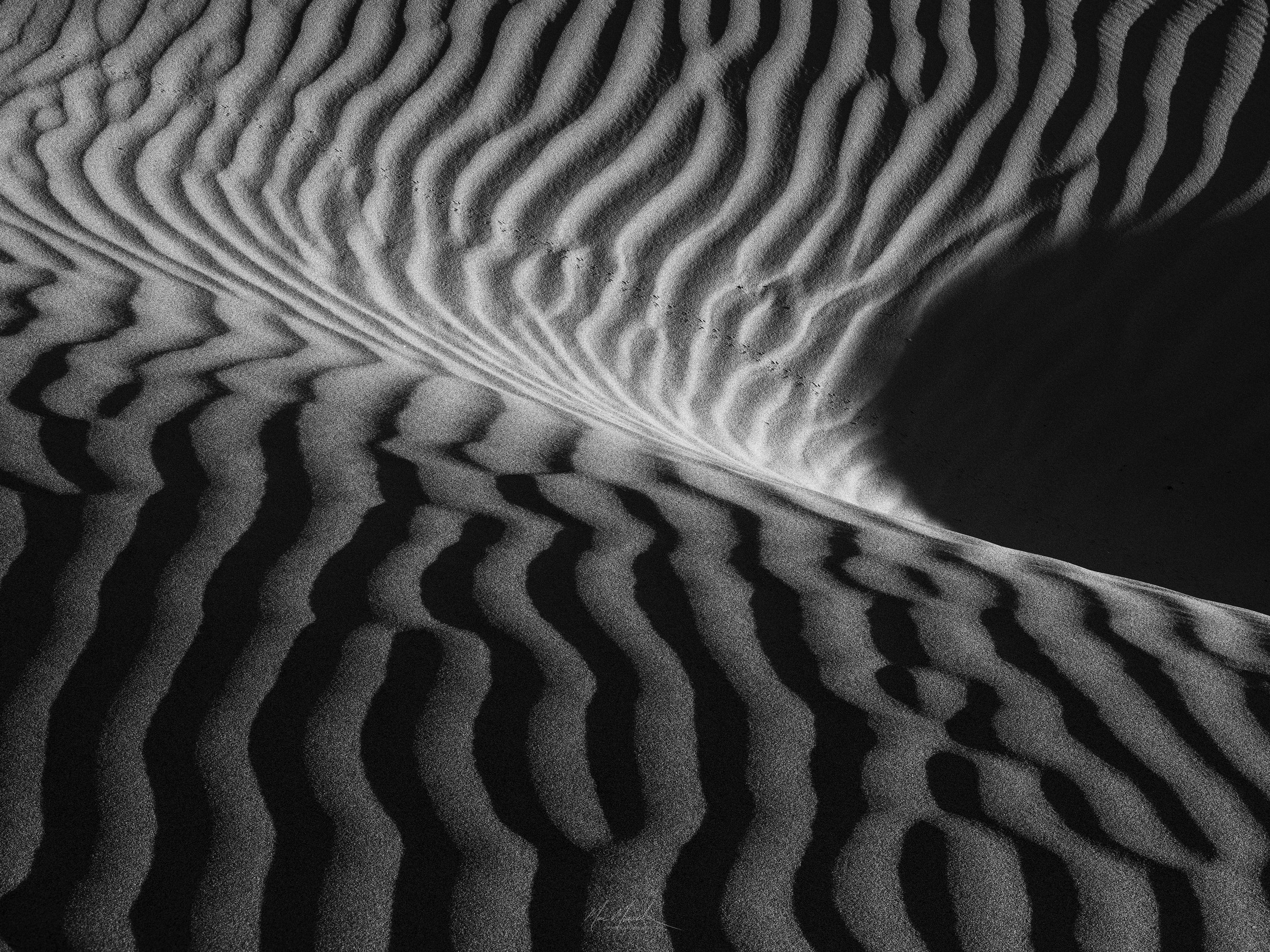 Ripple