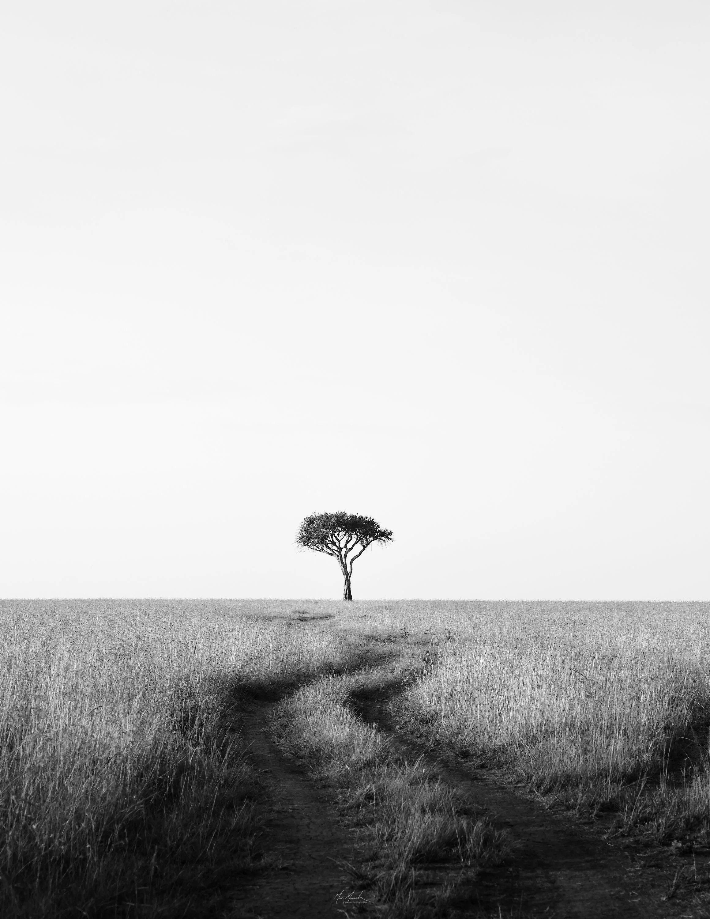 PATH