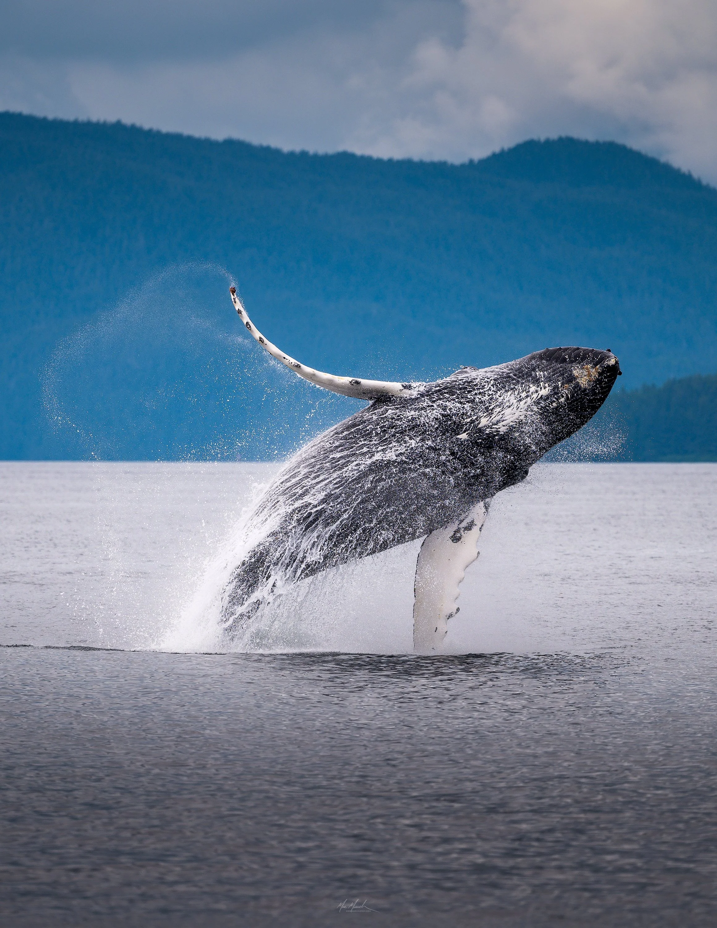BREACH