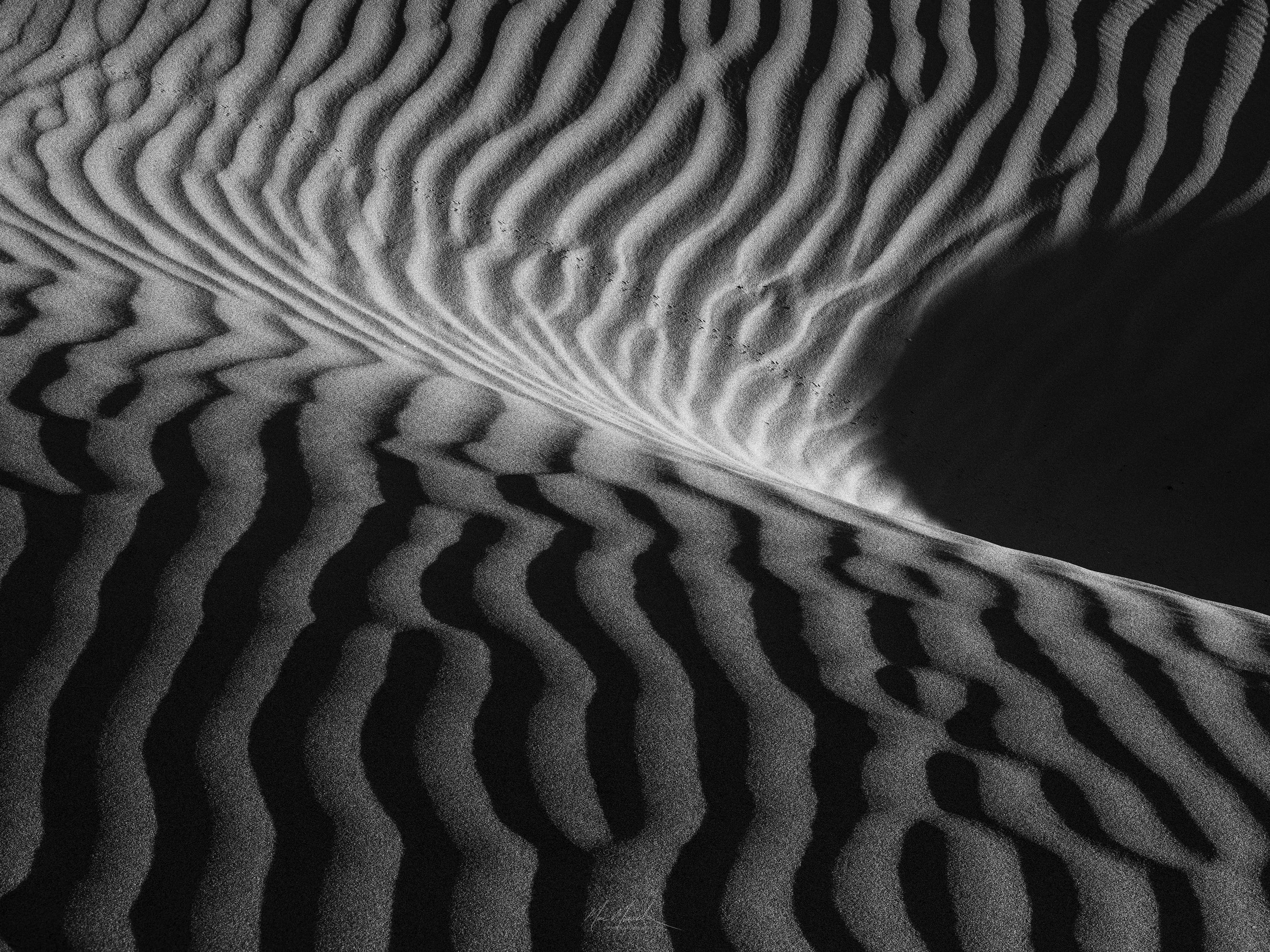 Ripple