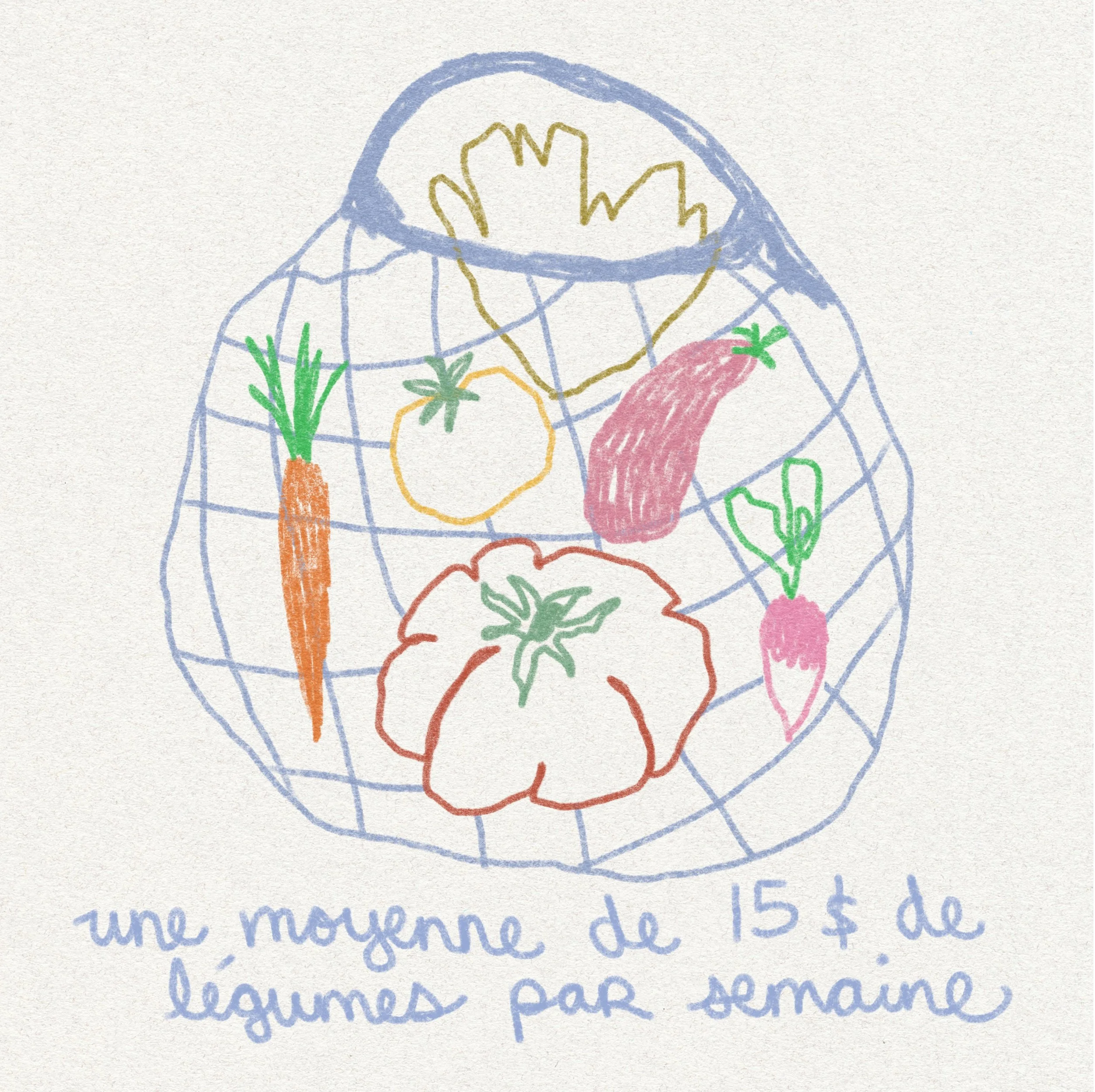 Panier de légumes - découverte