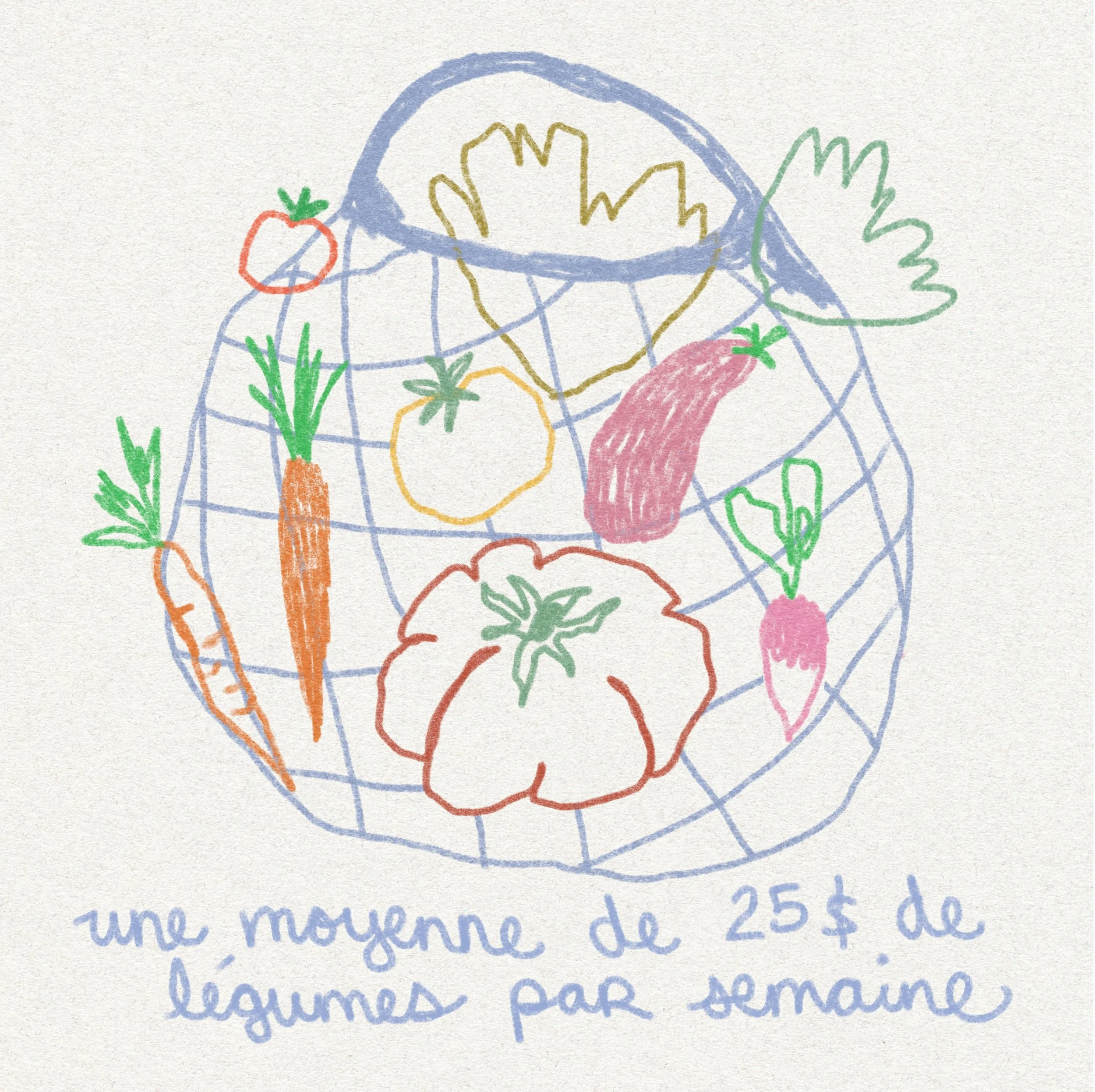 Panier de légumes - complice