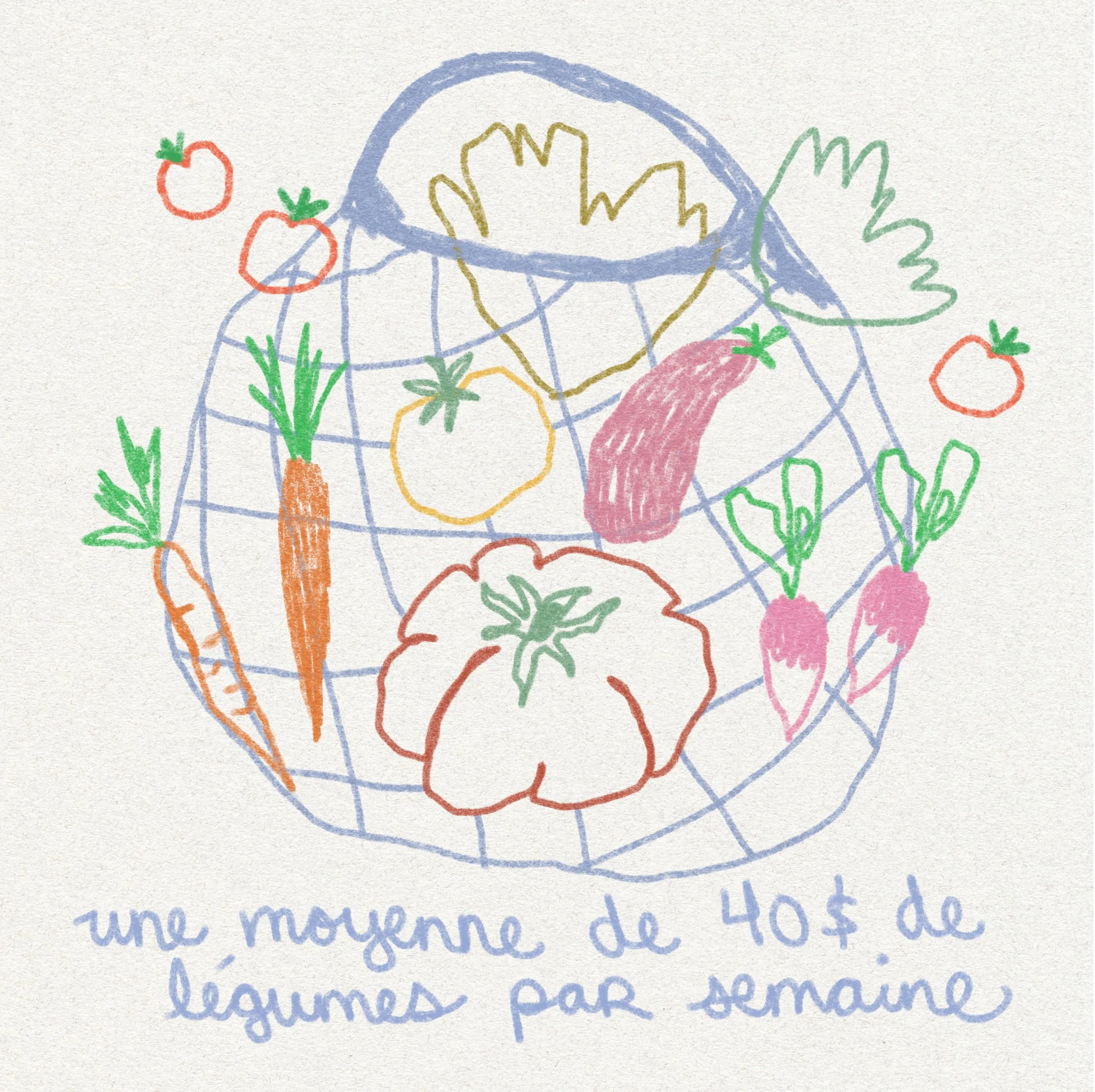 Panier de légumes - saisonnier