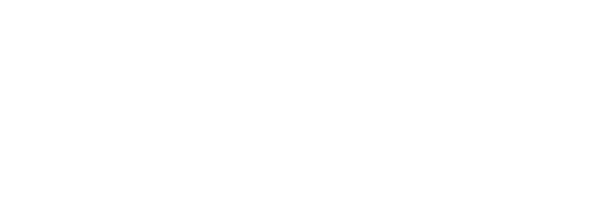 Pulse Group