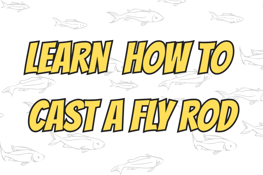 Learn to Cast a Fly Rod + bugs/knots