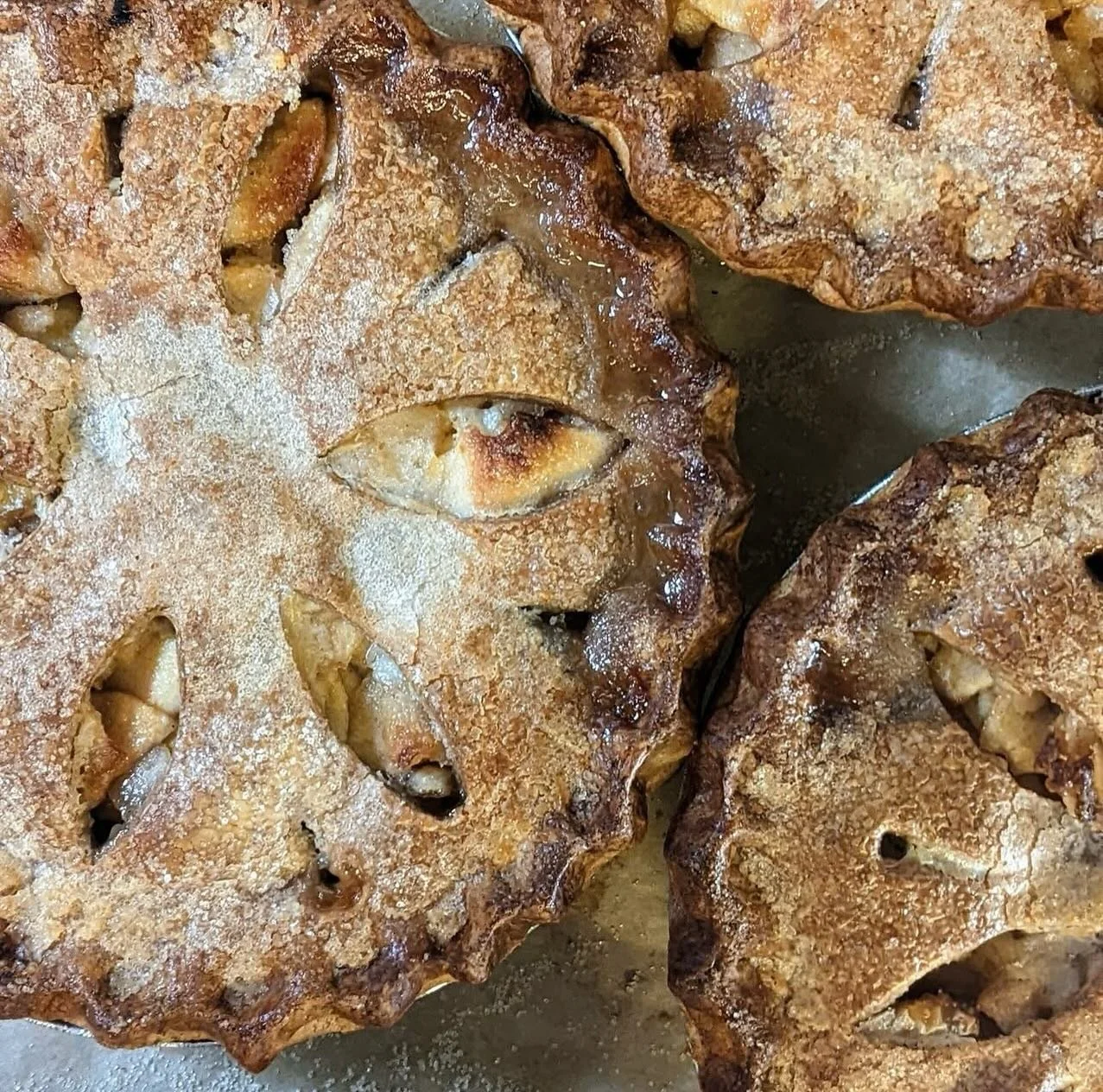 🥧 Time to place your orders for @mountainoven Thanksgiving baked goods! 🥧 The folks at Mountain Oven are working hard to bring you a plethora of holiday treats&hellip;from chocolate almond babka to pies &amp; quiches to danishes &amp; sticky buns. 