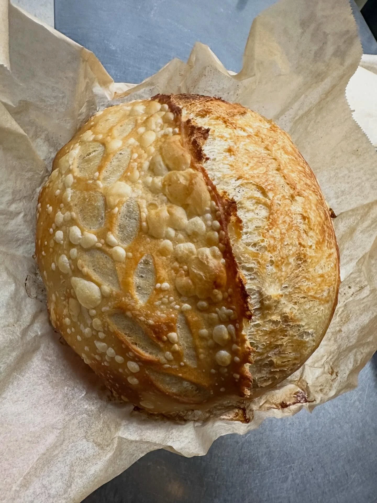 🧄 🥖 🫐 🥯 It&rsquo;s another bountiful Sourdough Monday @gunnisonvitamin!!! Check out our Simply Sourdough, Roasted Garlic &amp; Lemon Blueberry Loaves. We also have amazing Everything Bagels &amp; fluffy Focaccia again this week . . . only @gunnis