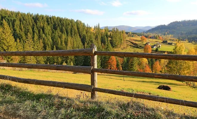 64e5bea22e84a3a9bd28166a_round-rail-wood-farm-fence-content-image.jpg