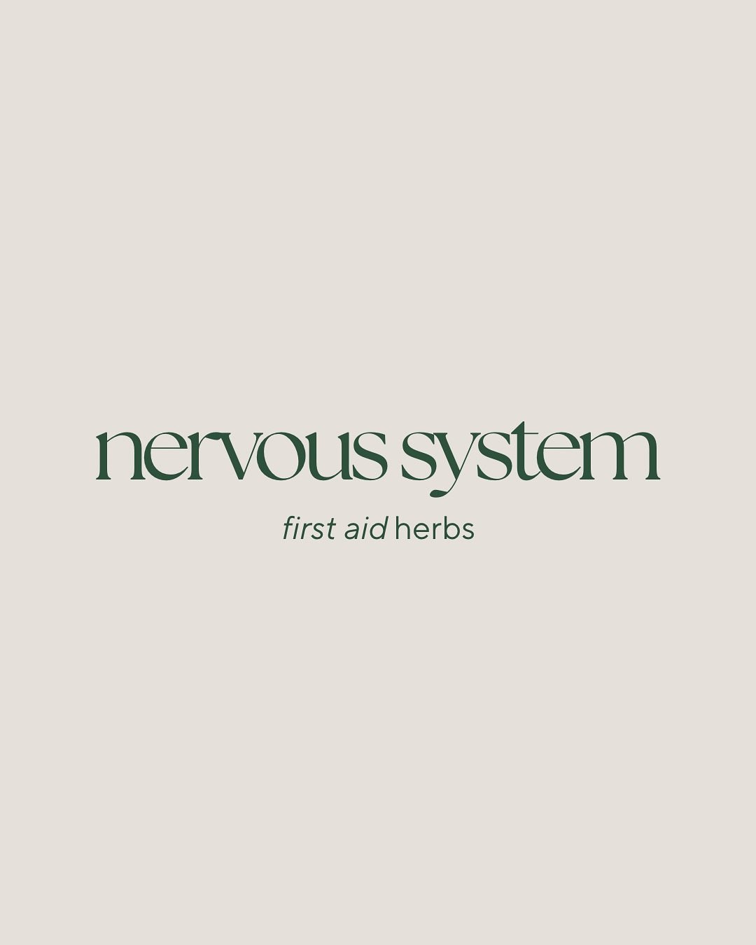 Herbal medicine is such a beautiful first aid tool for the nervous system- but it offers so much more than just symptom relief. 

When you can calm an over active mind or lessen the feelings of a racing heart, relax tense muscles, or promote more res