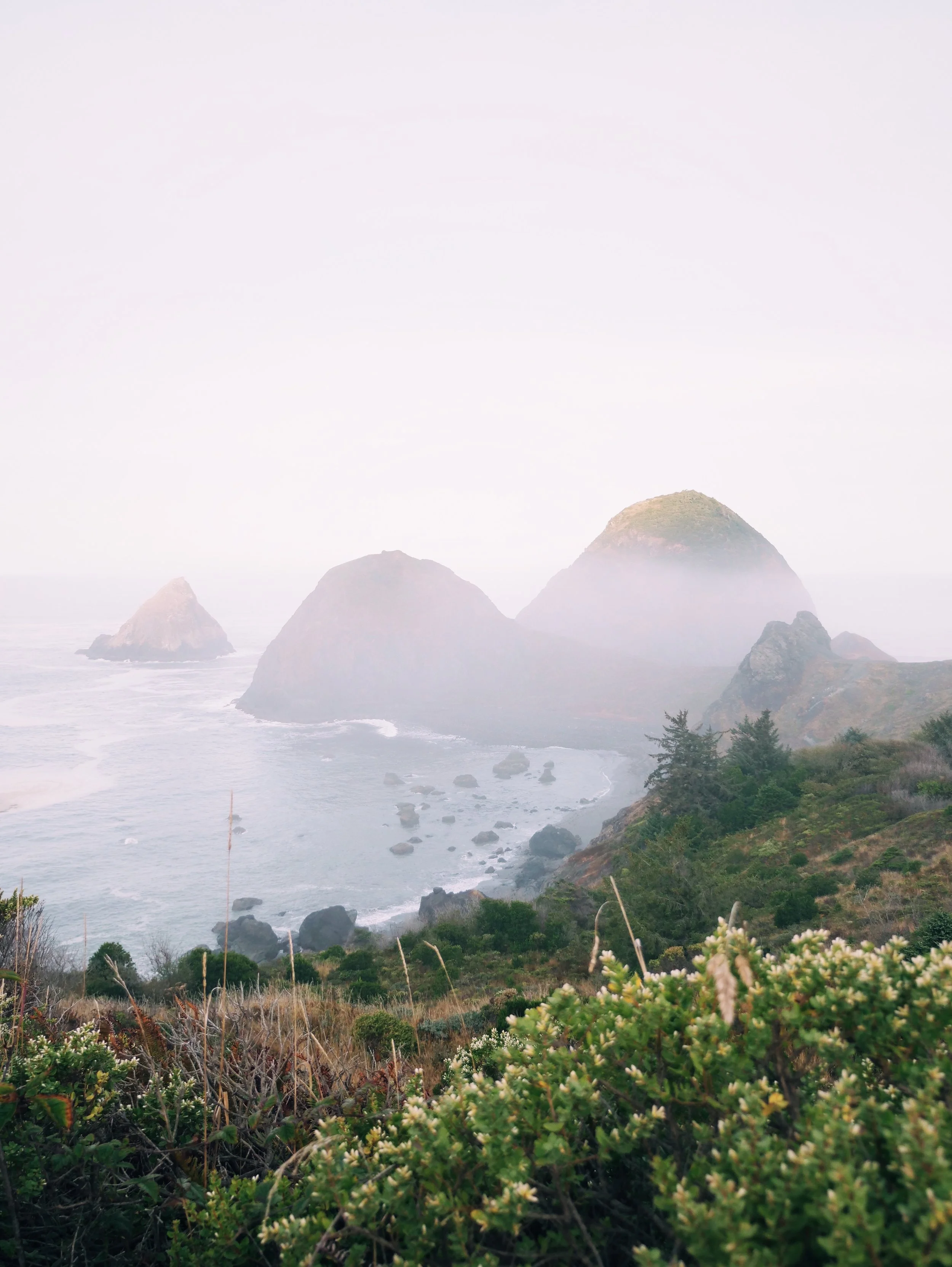Coastal scene with large rocks in the ocean and green shrubbery in the foreground, misty mountain peaks in the background.