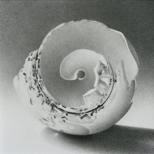 Moon Shell 4 4" x 4"