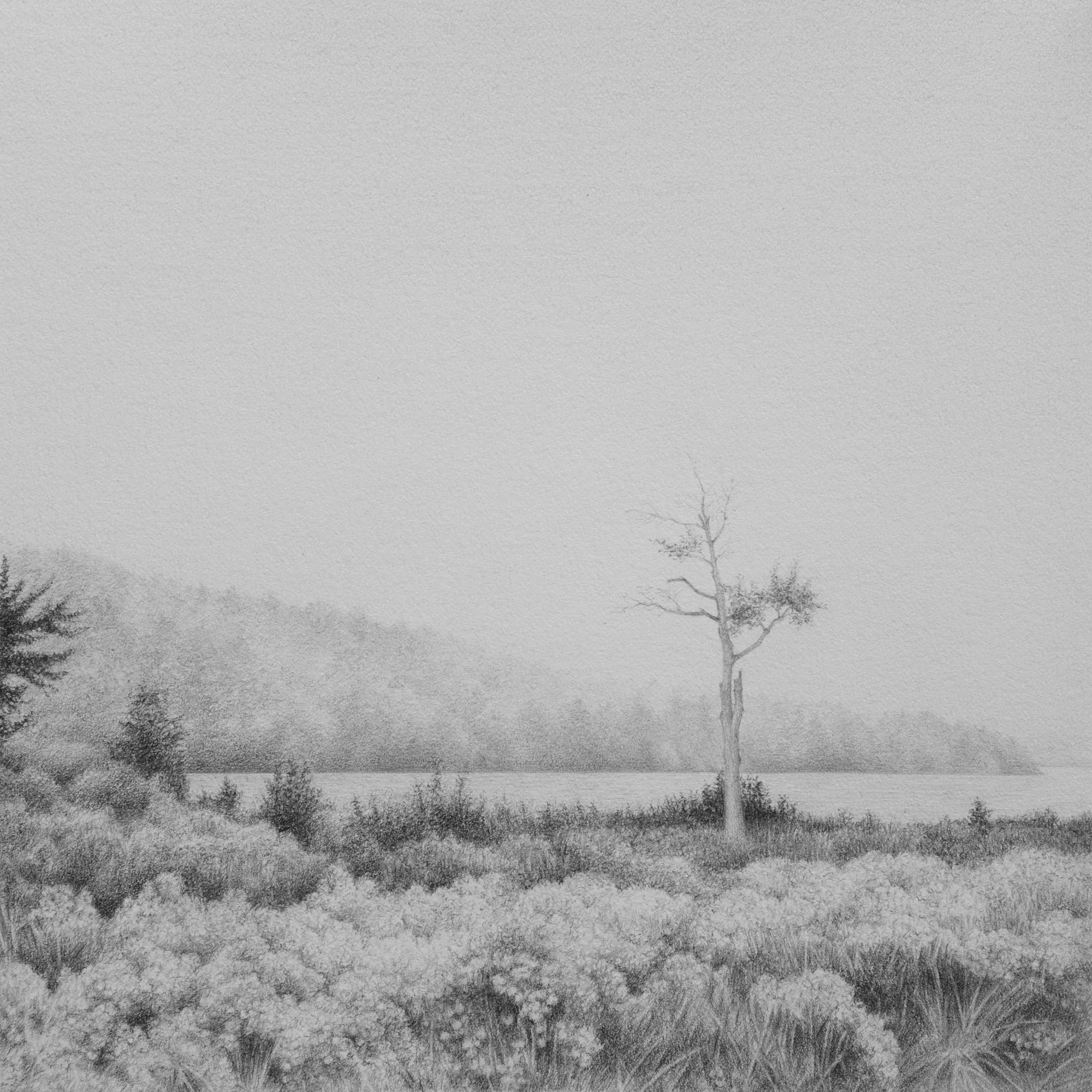 Whitney_River_Hosmer_Pond_Graphite_on_Paper_2025_7_x_7_in_LR_proof.jpg