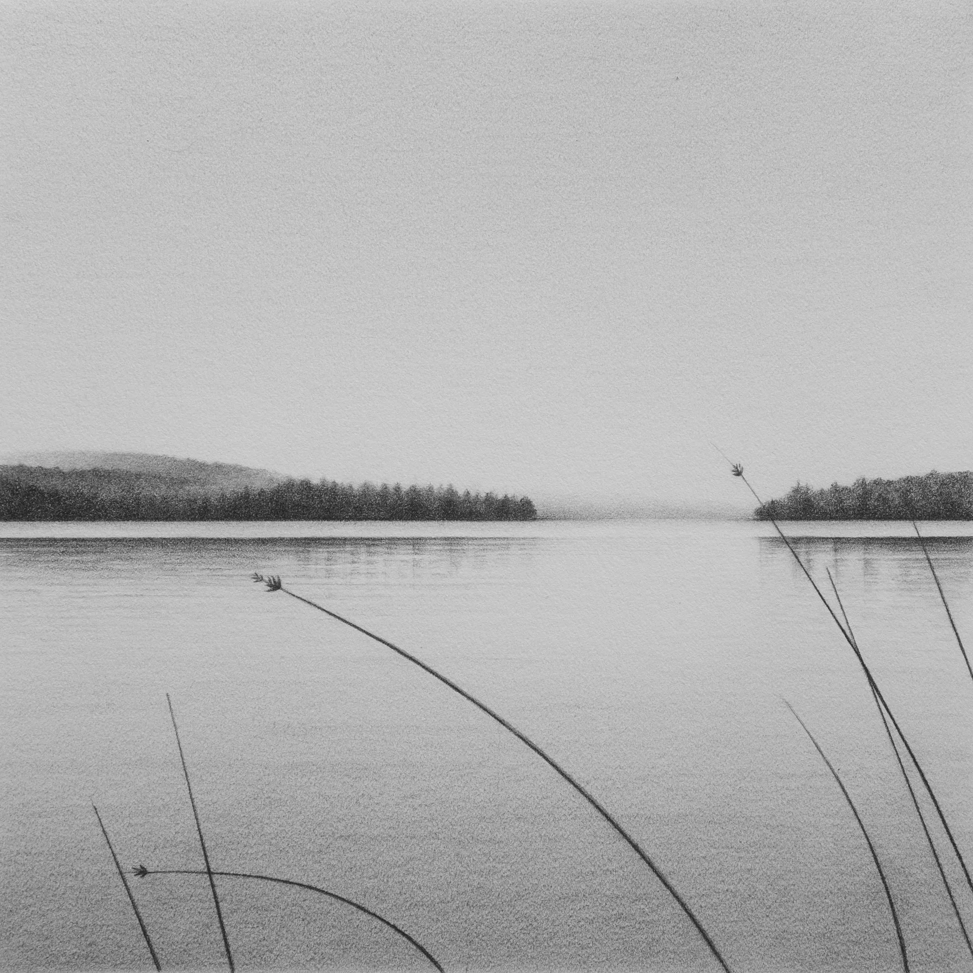 Whitney_River_Hobbs_Pond_4_Graphite_on_Paper_2025_7_x_7_in_LR_proof.jpg