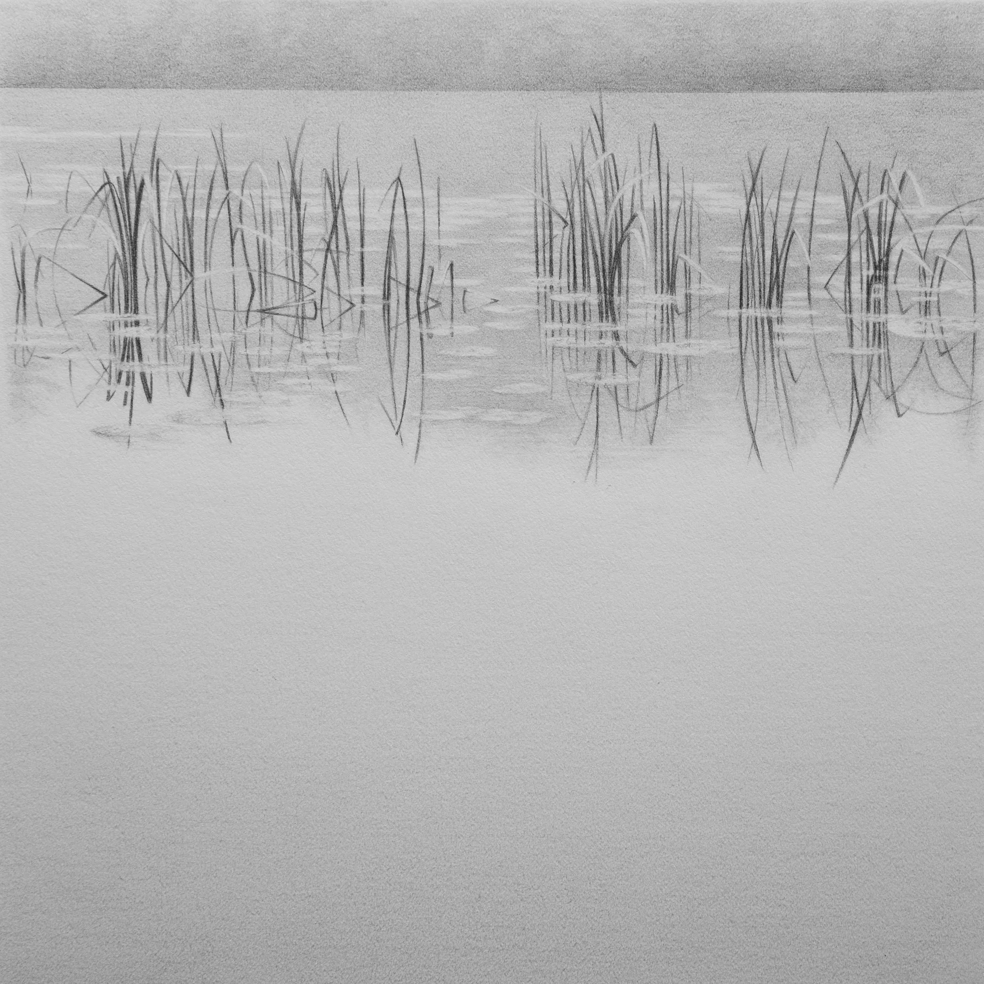 As we enter a new year…