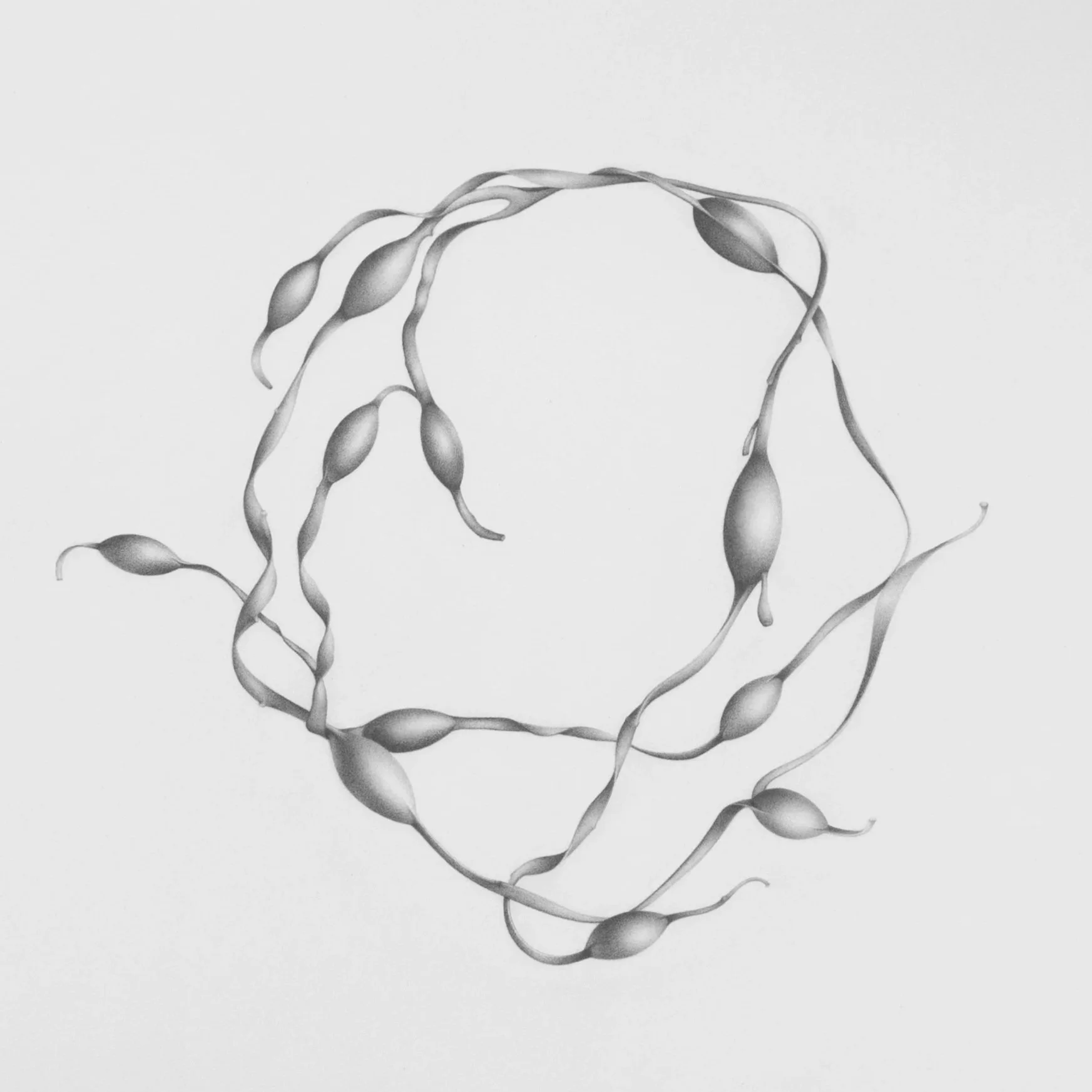 Graphite