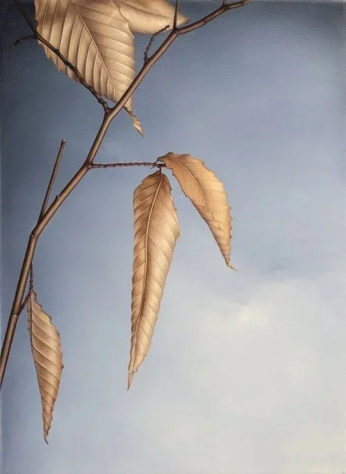 Beech Leaves 3 15" x 11"