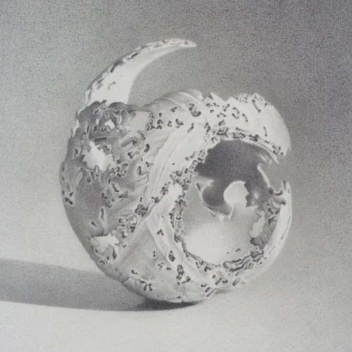 Moon Shell 24 4" x 4"