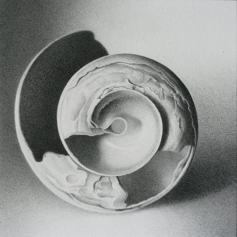 Moon Shell #5-o copy.jpg