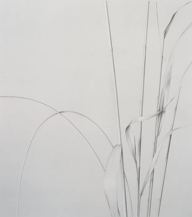 Common Reed 9 17.5" x 16"