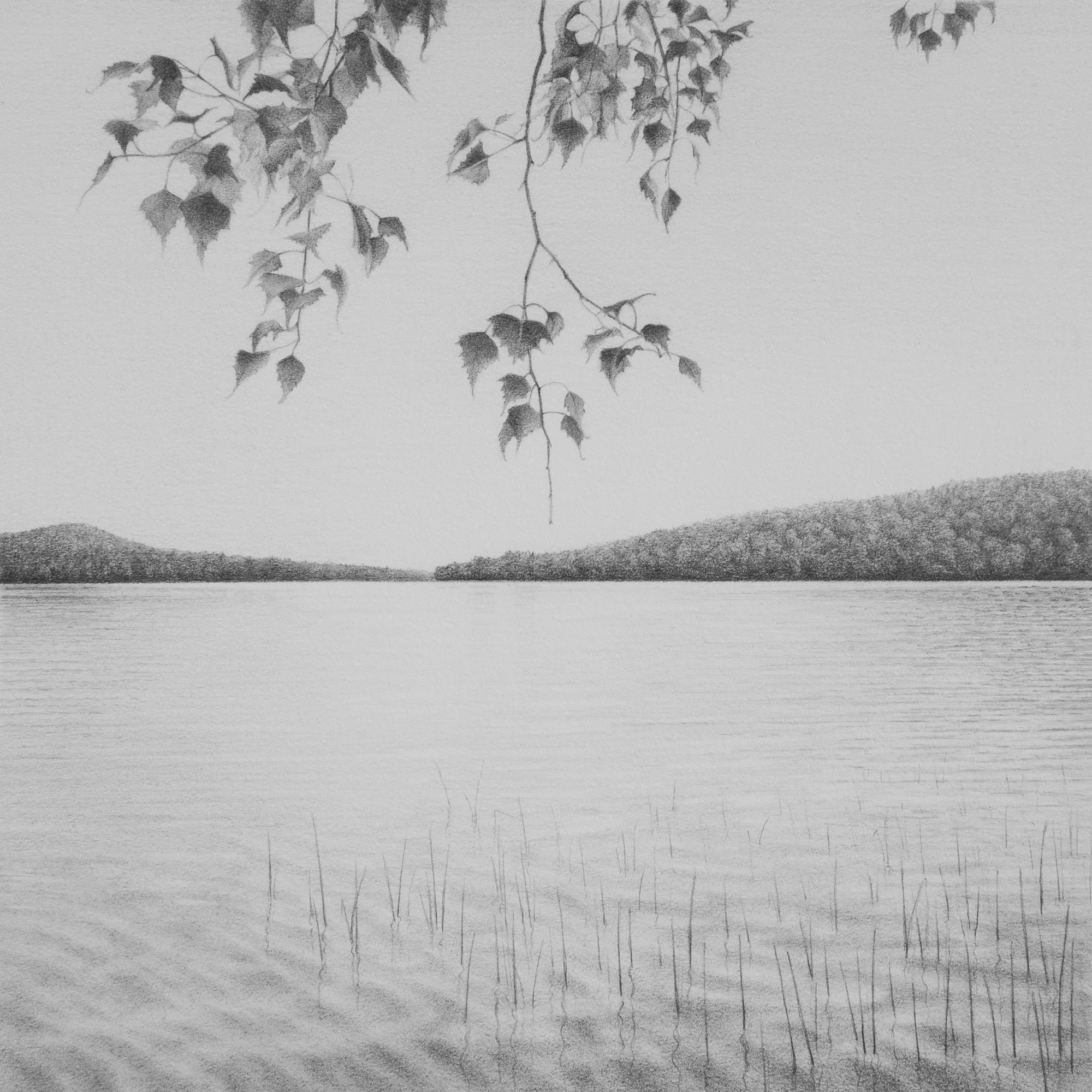 Hobbs Pond 2 7" x 7"