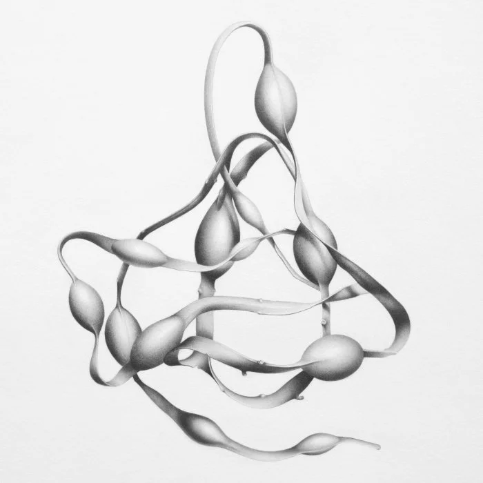 Seaweed 10 11.5" x 11.5"