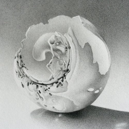 Moon Shell 3 4" x 4"