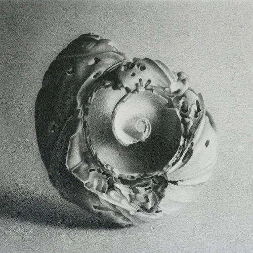 Moon Shell 18 4" x 4"