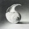 Moon Shell #27 sig.jpeg