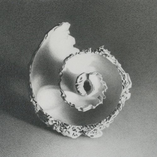 Moon Shell 17 4" x 4"