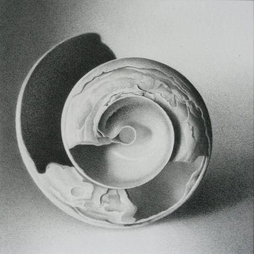 Moon Shell 5 4" x 4"