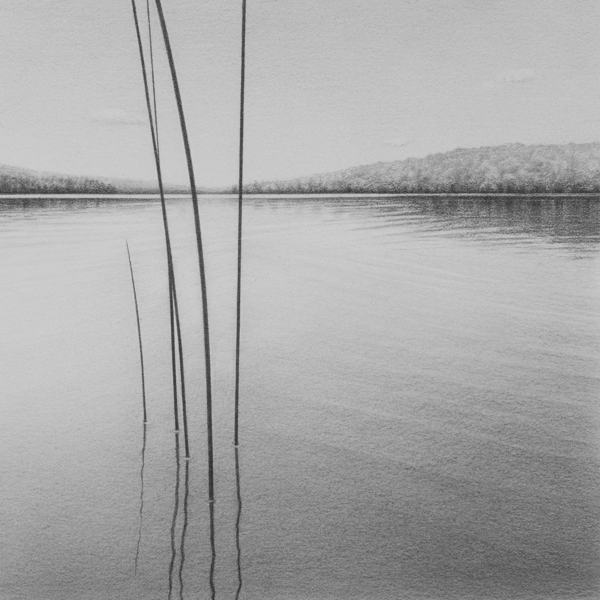 Hobbs Pond 7" x 7"