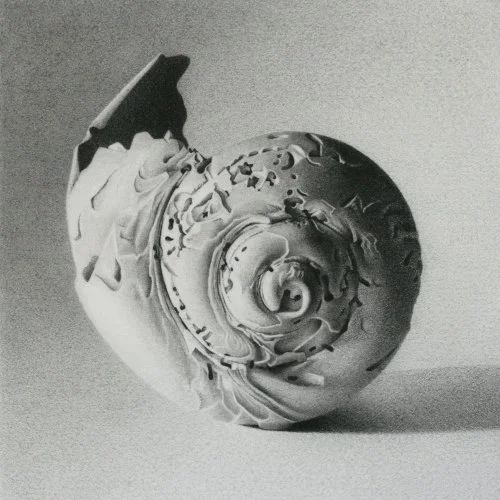 Moon-Shell-16.jpg