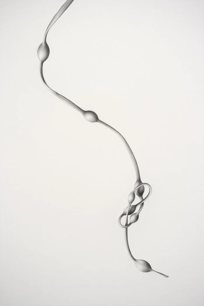 Seaweed 12 19" x 13"