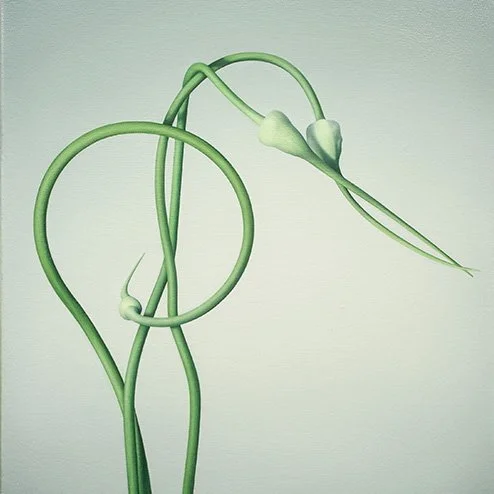 Scapes-#.jpeg
