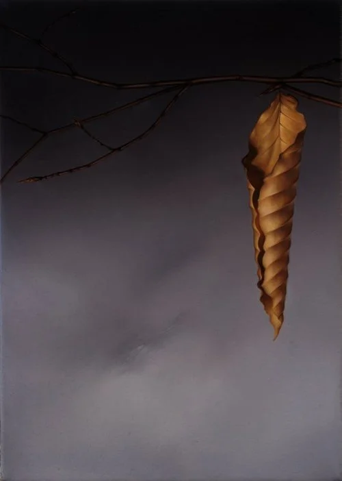 BeechLeaves7.jpg