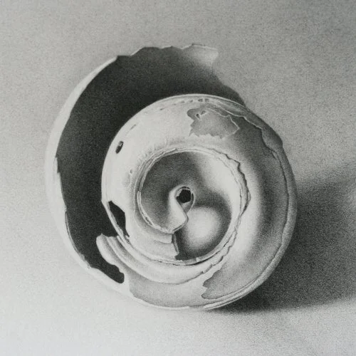 Moon Shell 11 4" x 4"