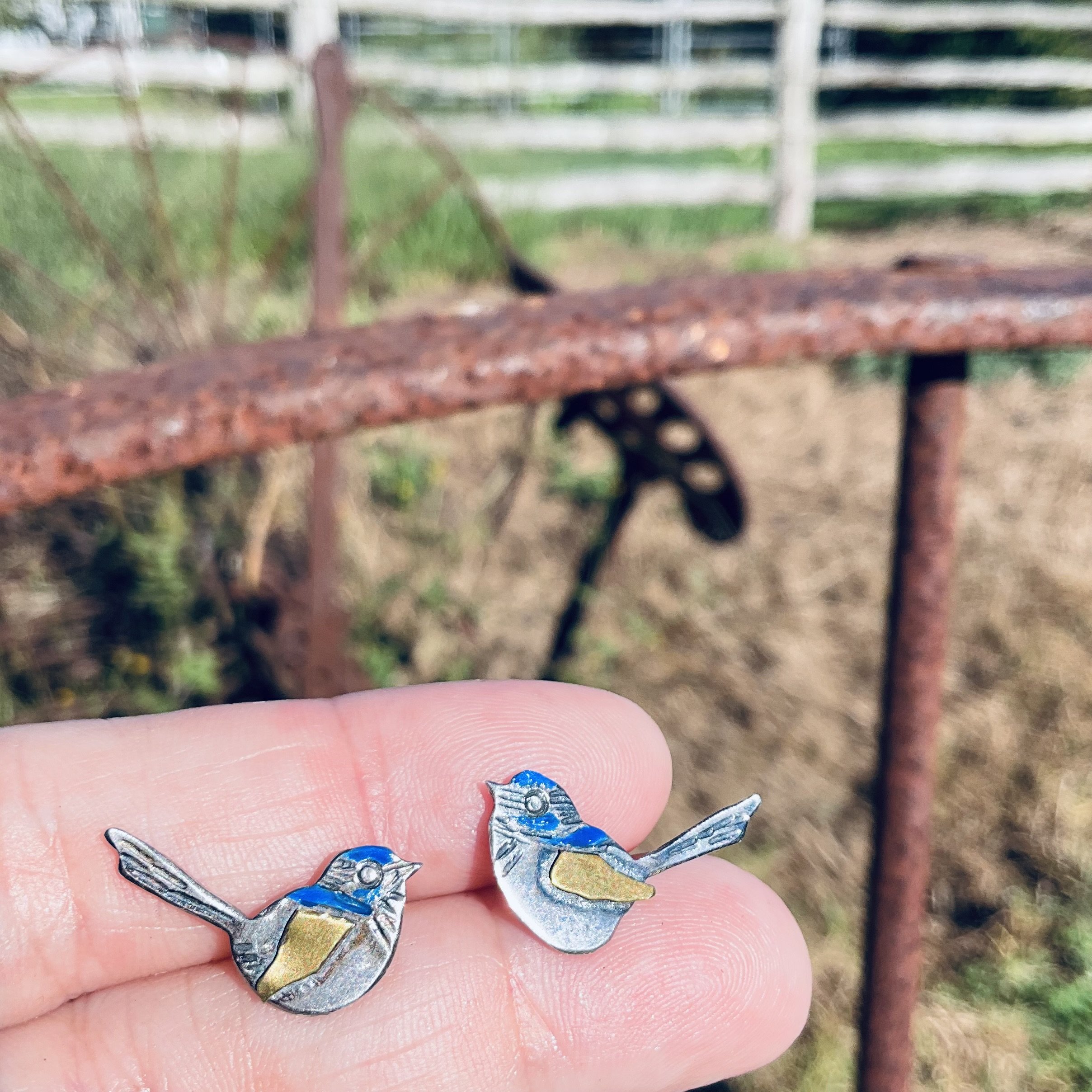 Superb Fairy Wren Studs