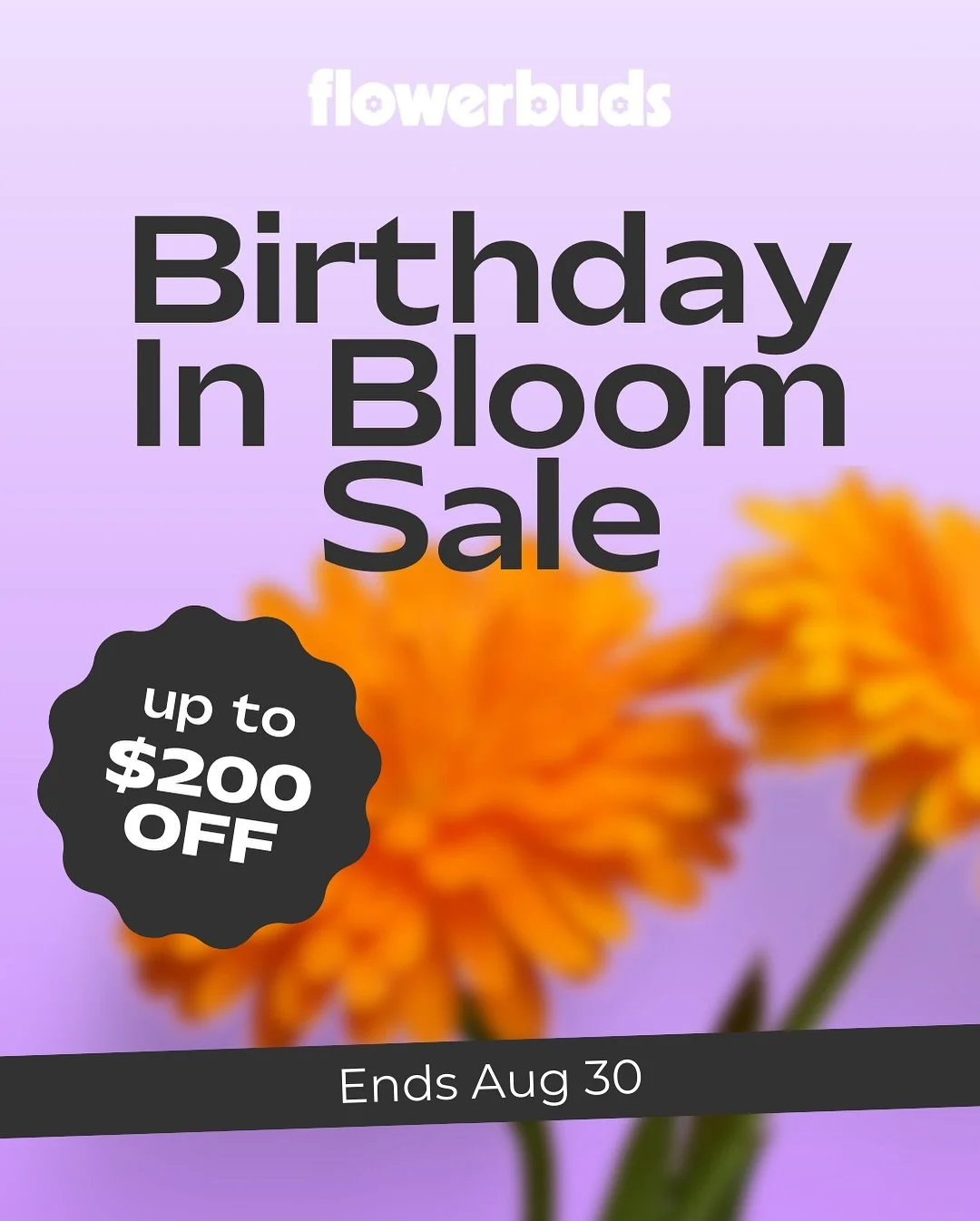 What if you could finally fix the one part of your brand or website that&rsquo;s been bugging you &mdash; in ONE day?

That&rsquo;s exactly what my Design Day is for. And right now, it&rsquo;s part of my Birthday Bloom Sale:

✨ $50 off a Brand &amp; 