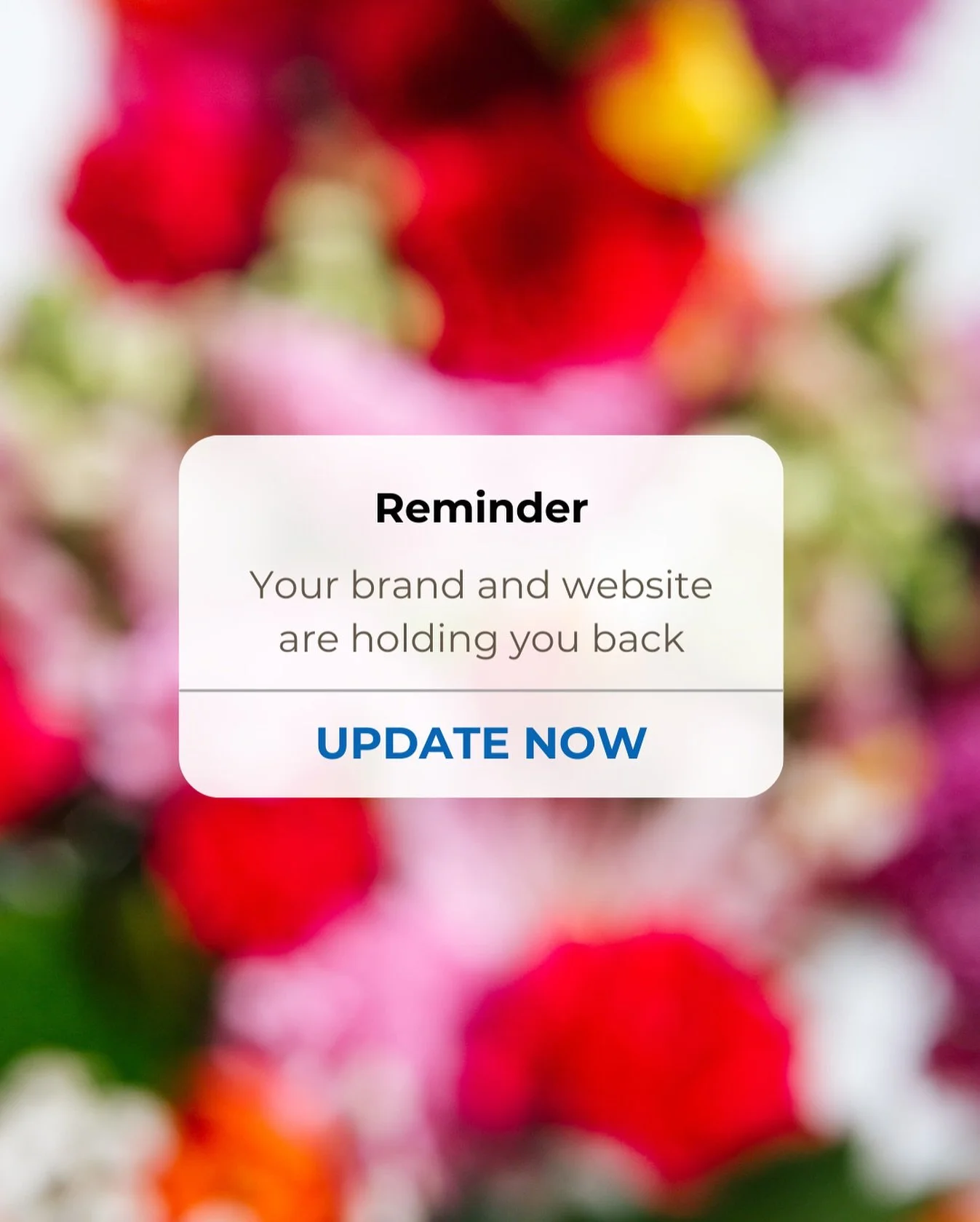 Something in your brand or website just isn&rsquo;t clicking&hellip; but you can&rsquo;t quite put your finger on it. 🤔

That&rsquo;s exactly what my free Brand &amp; Website Quiz is designed to uncover.

In just 3 minutes you&rsquo;ll learn:
✨ What